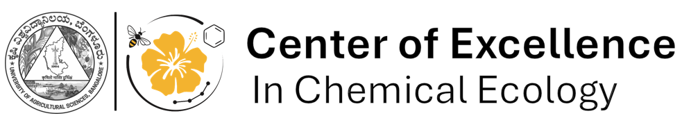 Medigo by templatemo